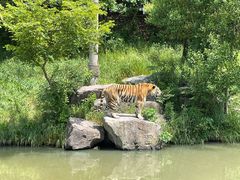-宁波野生动物园