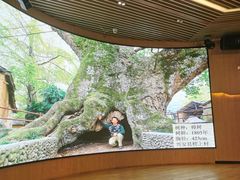 -漓江书院(三祺广场店)