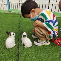 -萌宠亲子动物乐园(槐房万达店)