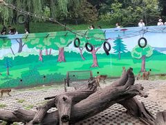 -西安秦岭野生动物园