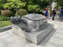-徐州龟山景区