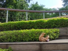 -云溪植物园
