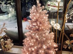 -天空花园餐吧·生日·团建(南山店)