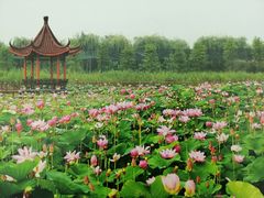 -泗洪县文化艺术中心