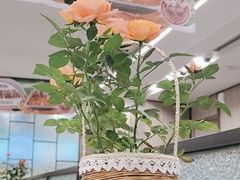 -海底捞火锅(高新万达广场店)