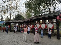 -合肥滨湖国家森林公园