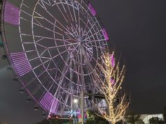 -南昌之星摩天轮