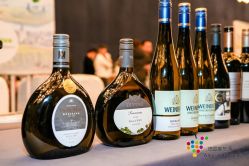 -上海雅居乐万豪侯爵酒店·宴会厅