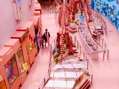 -陕西自然博物馆