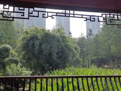 -重庆彩云湖湿地公园