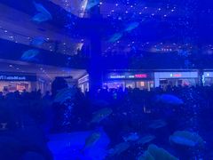 -成都浩海立方海洋公园