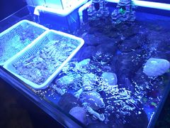 -路边摊小炉子烧烤