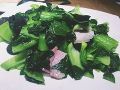 青菜钵-兴圆苑