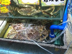 -蚝专家(北滘店)