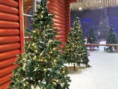 -宁波冰雪大世界(北仑区)