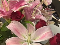 -施奈儿.洗头頭療.按摩SPA.采耳(上梅林店)