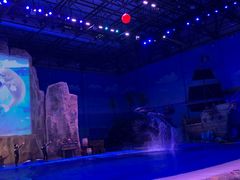 -华夏文旅海洋公园