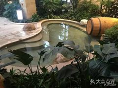 -国信南山温泉