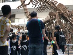 -中国地质大学逸夫博物馆