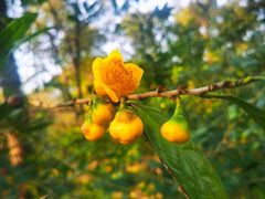 -华南国家植物园-售票处