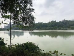 -广西壮族自治区药用植物园