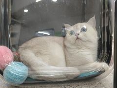 -爱侣宠医·鹦鹉专科·小型哺乳类·异宠专科(灵石路店)