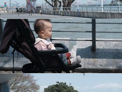 -大湾区中央湿地公园-十九涌