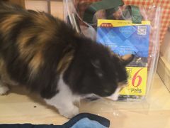 -小时光咖啡馆(开森度假森林店)
