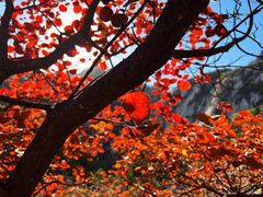 -北京凤凰岭