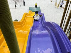 -美的鹭湖探索王国