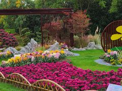 -上海共青森林公园