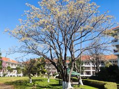 -云南滇池花园国际大酒店温泉