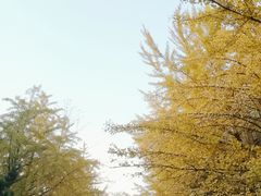 -辽宁大学(崇山校区)