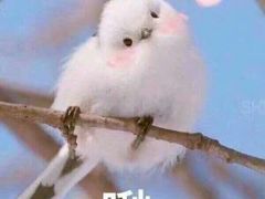 -麦当劳(世纪汇广场店)