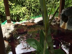 -广州锦绣香江度假别墅