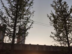 -马鹦路(地铁站)