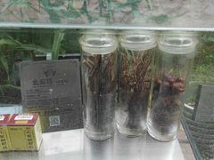 -广州神农草堂中医药博物馆