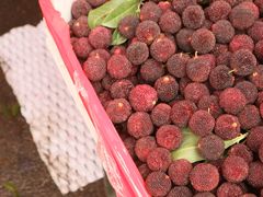 -红星农博物流中心