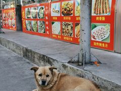 -南门绿玉农贸市场