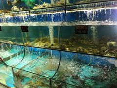 -越乡小厨(侨港店)