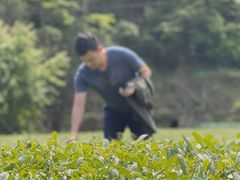 -安溪清水岩