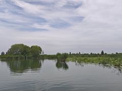 -白洋淀景区
