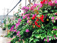 -几静cafe(基湖店)