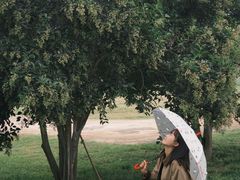 -汉长安城未央宫国家考古遗址公园