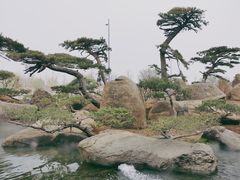 -罗红摄影艺术馆