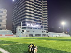 -和达·悦自由体育公园