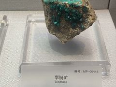 -湖南省地质博物馆