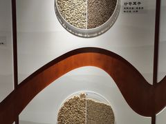 -中国中医科学院西苑医院(本部)