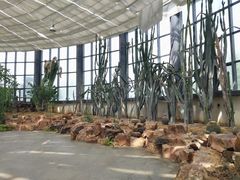 -苏州太湖国家湿地公园