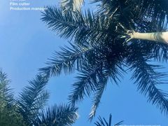 -上海玛雅海滩水公园